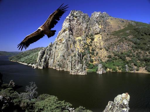 Posada El Arriero Torrejón el Rubio Exteriér fotografie